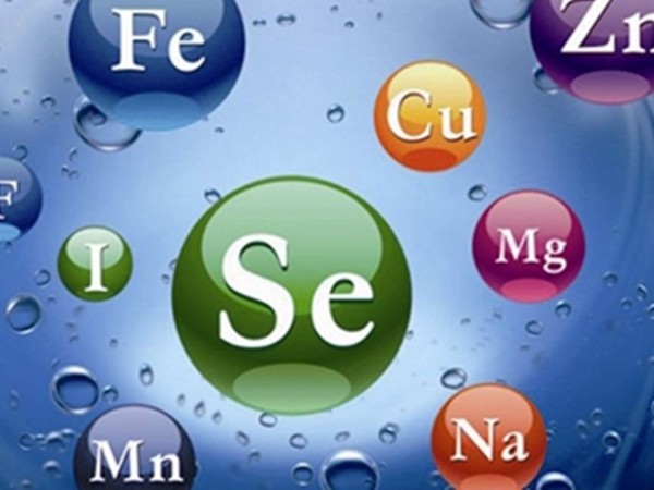 �������΢��Ԫ��Ԥ���ϵ���Ч�ԺͰ�ȫ��