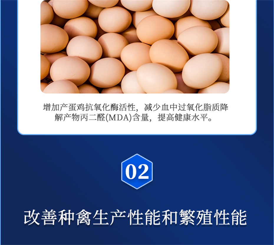 bbin��ӯ�������������Ӽ�����Ѫ�ݲ�Ʒ����