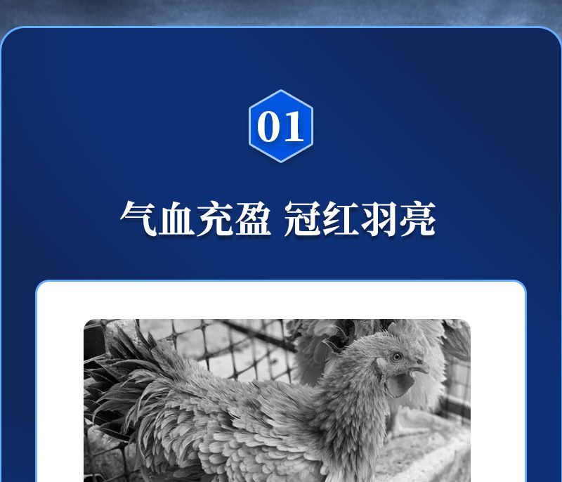 bbin��ӯ�������������Ӽ���ɫ��Ʒ����