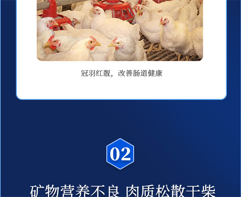 bbin��ӯ�������������Ӽ����ﱦ��Ʒ����