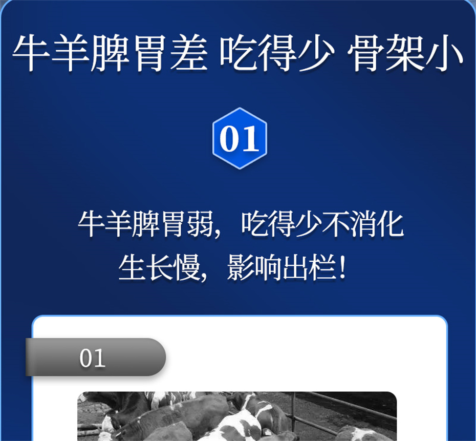 bbin��ӯ����ţ���������Ӽ�ţ��Ԫ˧��Ʒ����