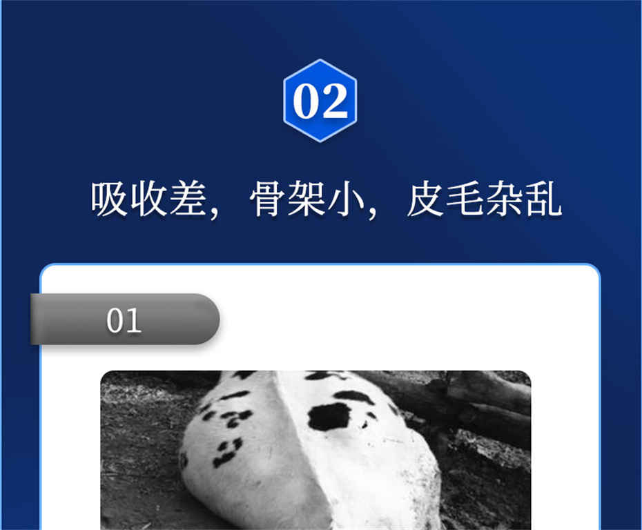 bbin��ӯ����ţ���������Ӽ�ţ��Ԫ˧��Ʒ����