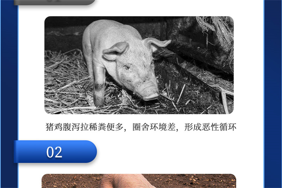 bbin��ӯ�������������Ӽ��������Ʒ����