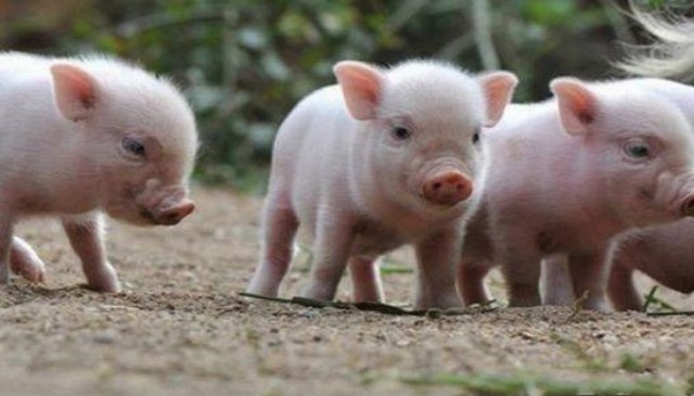 ������к