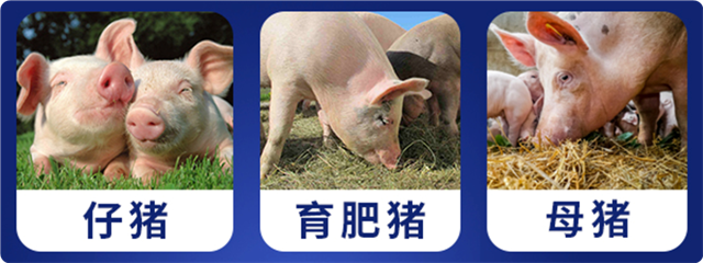 bbin��ӯ���������Ӽ�