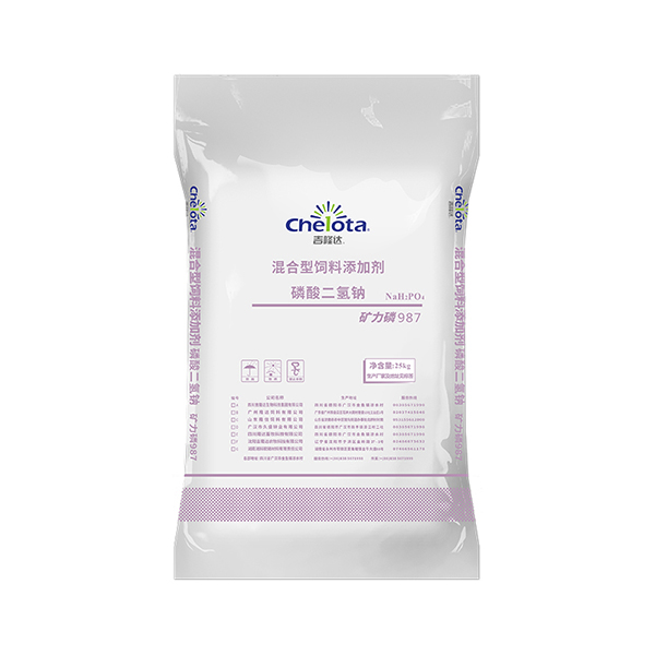 ���������-bbin��ӯ