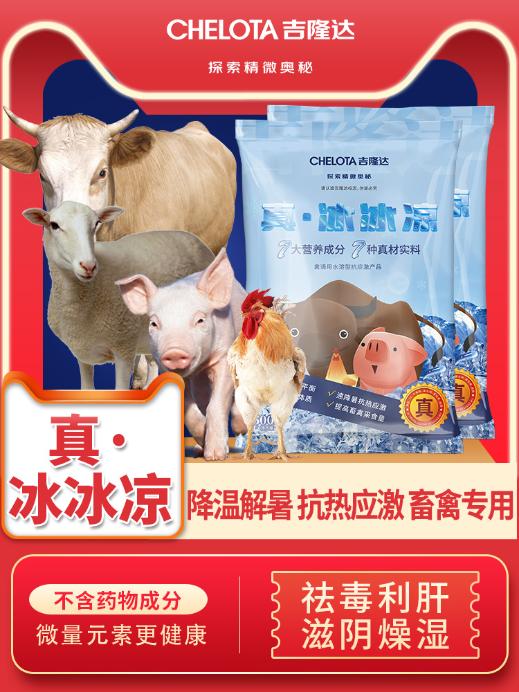 bbin��ӯ�桤������