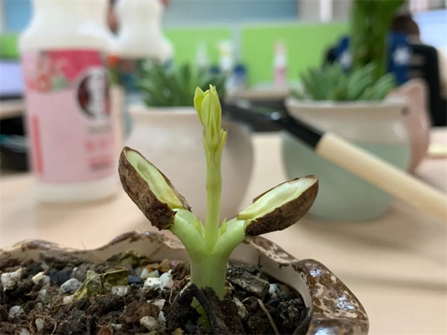 bbin��ӯ��Ӱ������Ʒ����΢��