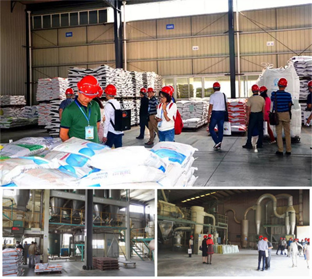 ���������ڲι�bbin��ӯ�ⷿ��������