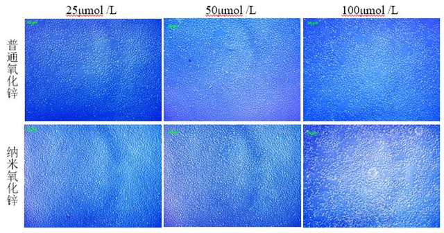 ��ͨ����п����������п�Ա�ͼ