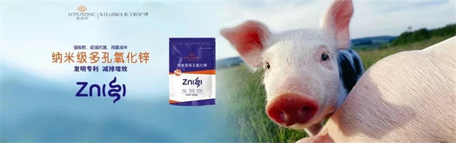 bbin��ӯ�������п