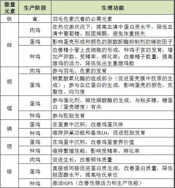 �������Ӽ�