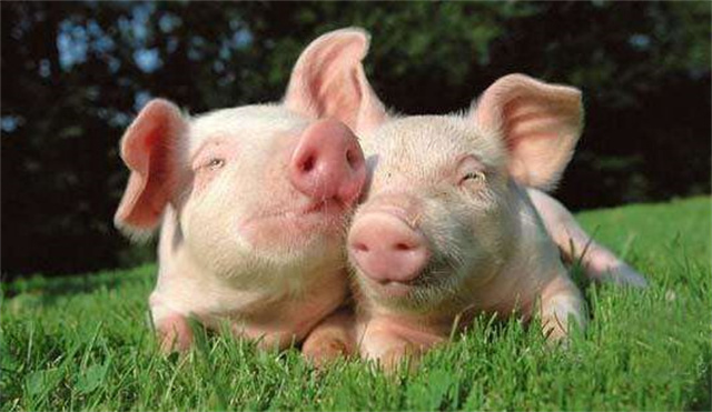 Ϊʲô����Ҫ���������Ӽ�