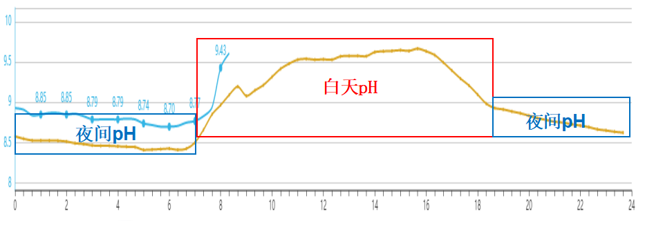 һ����ˮ��pHֵ�ı仯����