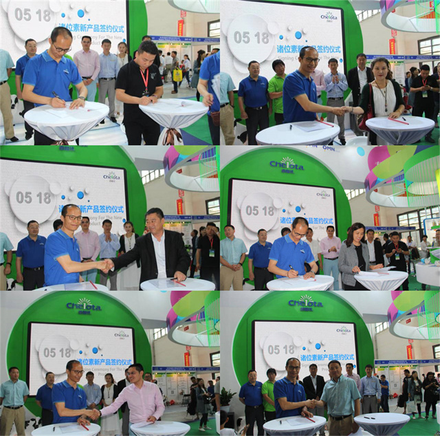 bbin��ӯ��չ�й�����������