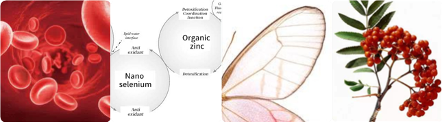 bbin��ӯ����Ѫ