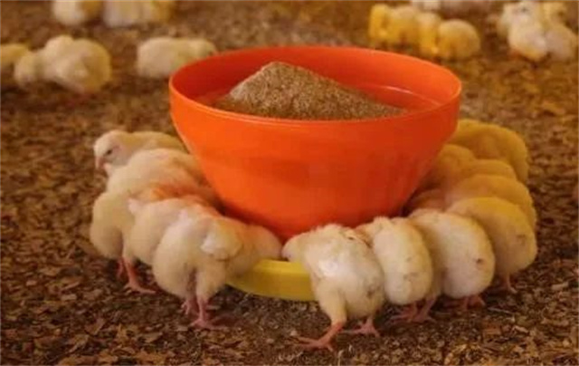 ������Ӧ��������