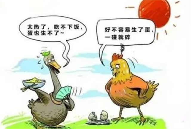 ������Ӧ��������