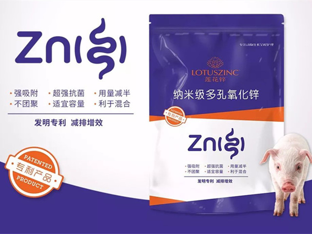 ����п-bbin��ӯ����п