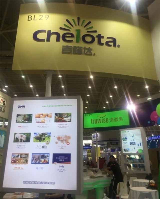 �󲩻�bbin��ӯչ��