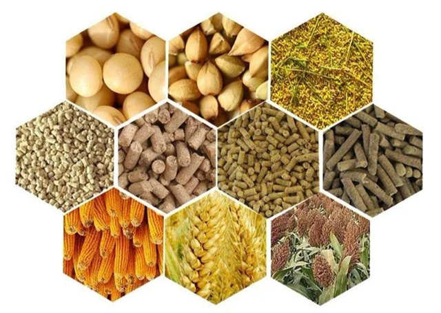 �������Ӽ�