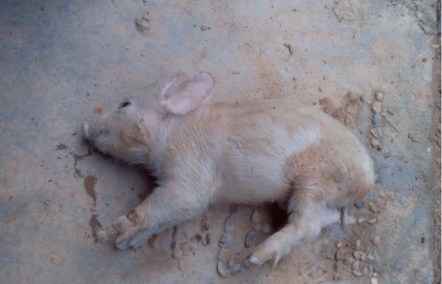 ����ˮ�ײ���ô��