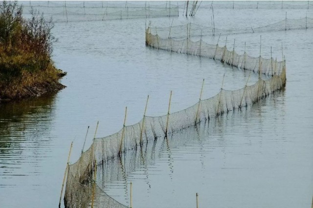 ��Ϻ����ʲ�����ô��