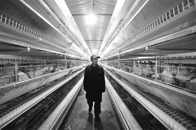 ��ģ����ֳ