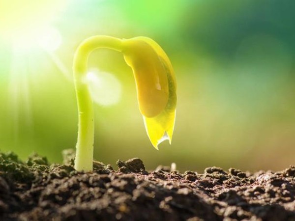 ����bbin��ӯ��ҵ��������ˮ������