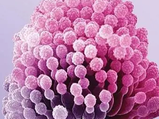 ù������