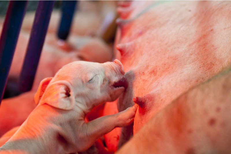 ĸ���Ѳ��Ľ����ʩ