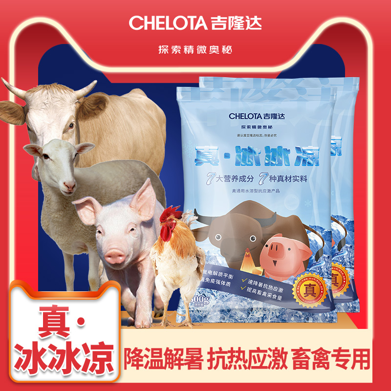 bbin��ӯ����������