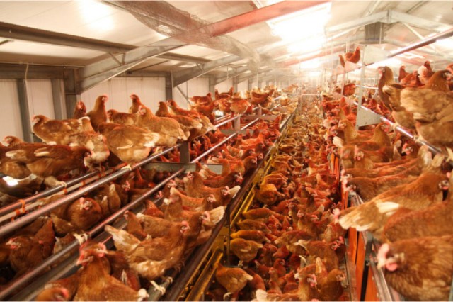 ������Ӧ��������������