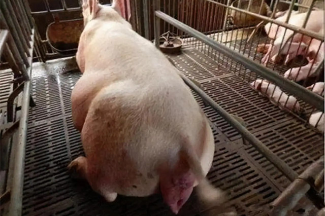 ĸ�����̹���������