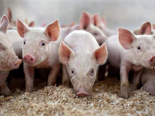 ��ֳҵ�г�����