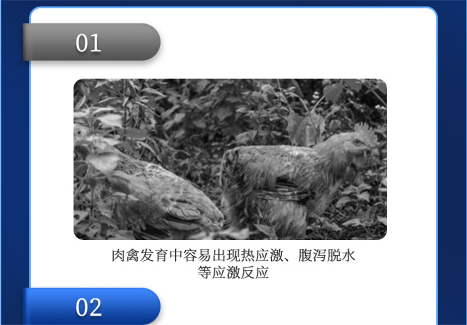 bbin��ӯ�������������Ӽ������ز�Ʒ����