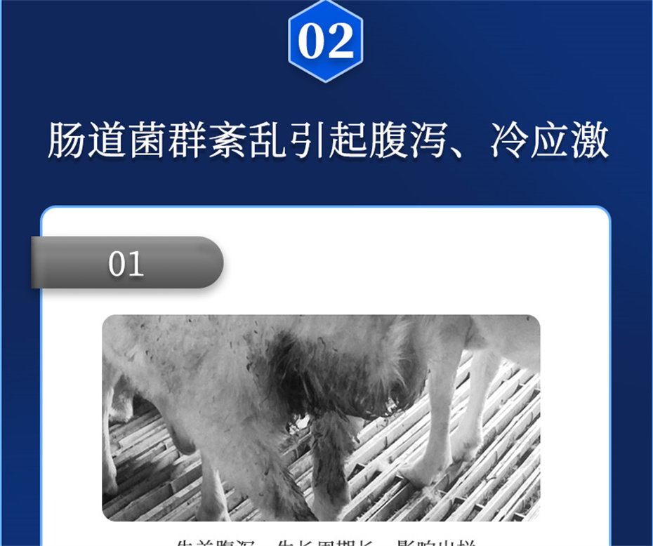 bbin��ӯ����ţ���������Ӽ�θ��plus��Ʒ����