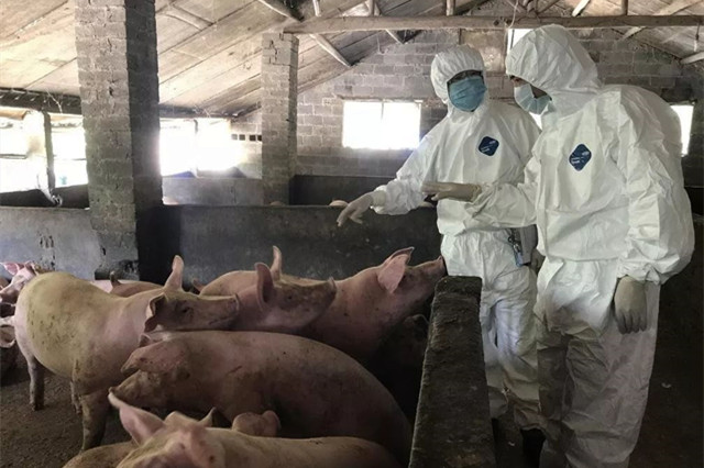 ����������