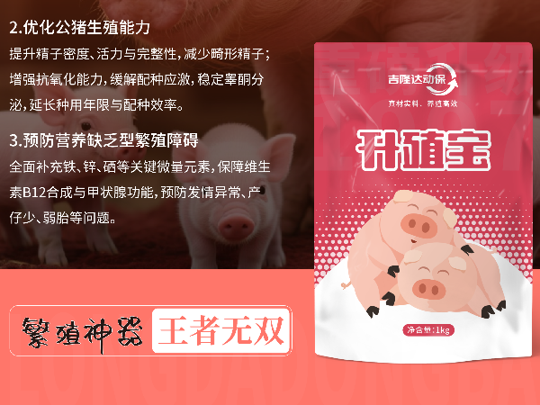 ÿ������2kg��Ͷ���������Ļر�������ֳ�����ۺ�Ч�����