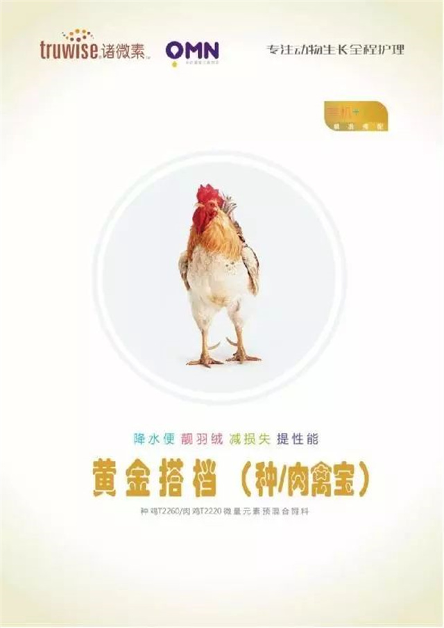 bbin��ӯ�������Ӽ�