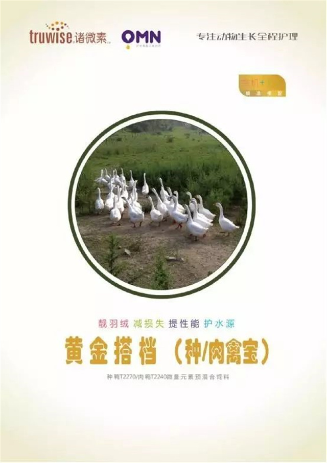 bbin��ӯ�������Ӽ�