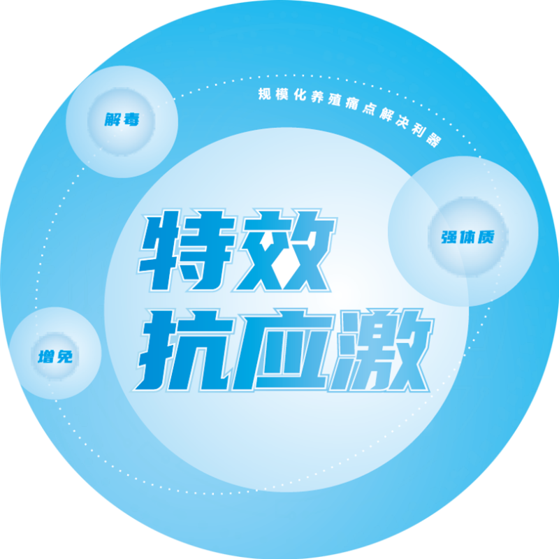 ����1�Ź�Ч