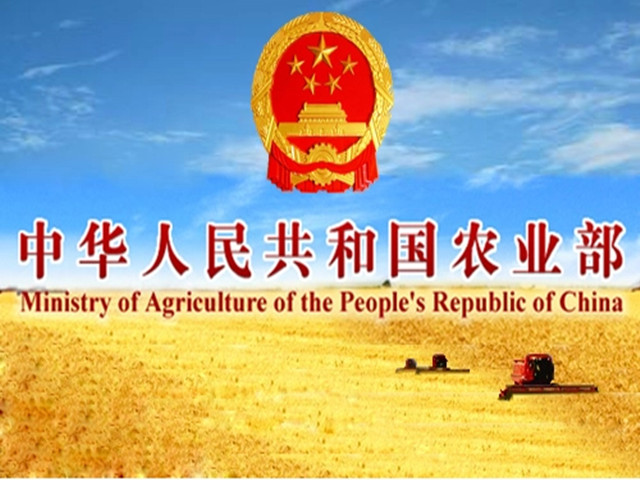 �ӿ��ƽ�����ɢװɢ�˹���