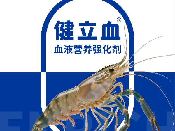 ��ϺҪ��Ѫ��͵��Ӧ�����߲���ԭ������Ϊ����
