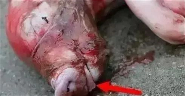 �ж�ĸ���Ƿ�����3������ĸ���ӹ���λ