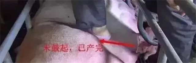 �ж�ĸ���Ƿ�����3������ĸ���ӹ���λ