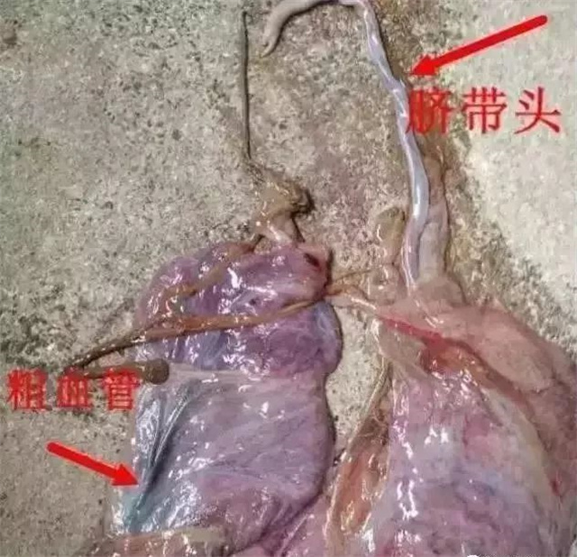 �ж�ĸ���Ƿ�����1���������ͷ