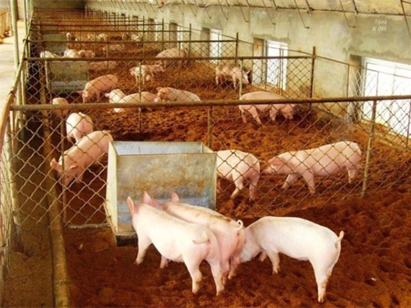 ����Ӧ�������ح��������ǿ��Ӫ����ʩ