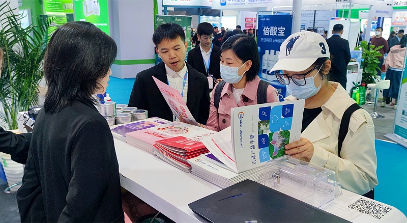 �������bbin��ӯ����չ̨