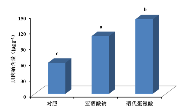 �������Ӽ�